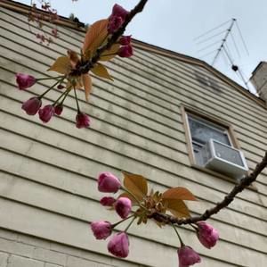 Meet your Posher, Tracy